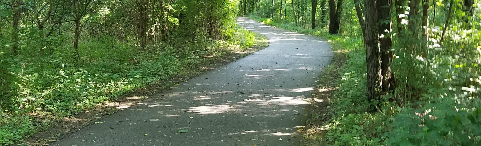 River Road Park White River Trail Map, Guide Indiana AllTrails