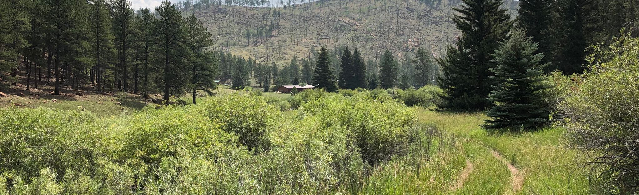 Platte River Trail 432 Reviews - EyJidWNrZXQiOiJhc3NldHMuYWxsdHJhaWxzLmNvbSIsImtleSI6InVwbG9hZHMvcGhvdG8vaW1hZ2UvMjEyMTkwOTcvMGI3NjhjNThjN2E4MmZjZmE0MTQ0N2NjOTQzNGUxOTguanBnIiwiZWRpdHMiOnsidG9Gb3JtYXQiOiJqcGVnIiwicmVzaXplIjp7IndpZHRoIjoyMDQ0LCJoZWlnaHQiOjYyNCwiZml0IjoiY292ZXIifSwicm90YXRlIjpudWxsLCJqcGVnIjp7InRyZWxsaXNRdWFudGlzYXRpb24iOnRydWUsIm92ZXJzaG9vdERlcmluZ2luZyI6dHJ1ZSwib3B0aW1pc2VTY2FucyI6dHJ1ZSwicXVhbnRpc2F0aW9uVGFibGUiOjN9fX0=