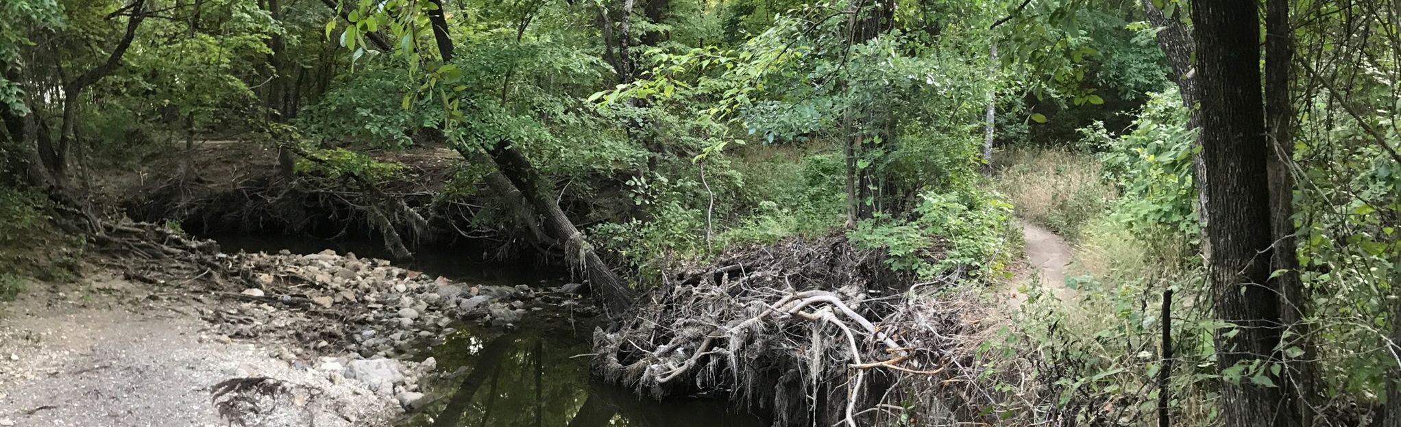 Arbor Hills Mountain Bike Loop - EyJidWNrZXQiOiJhc3NldHMuYWxsdHJhaWxzLmNvbSIsImtleSI6InVwbG9hZHMvcGhvdG8vaW1hZ2UvMjEyMjM5NDYvYmY5MDEzMjBlMTY4MWJkODM5YWJmMjI3Njc4N2JiOWYuanBnIiwiZWRpdHMiOnsidG9Gb3JtYXQiOiJqcGVnIiwicmVzaXplIjp7IndpZHRoIjoyMDQ0LCJoZWlnaHQiOjYyNCwiZml0IjoiY292ZXIifSwicm90YXRlIjpudWxsLCJqcGVnIjp7InRyZWxsaXNRdWFudGlzYXRpb24iOnRydWUsIm92ZXJzaG9vdERlcmluZ2luZyI6dHJ1ZSwib3B0aW1pc2VTY2FucyI6dHJ1ZSwicXVhbnRpc2F0aW9uVGFibGUiOjN9fX0=