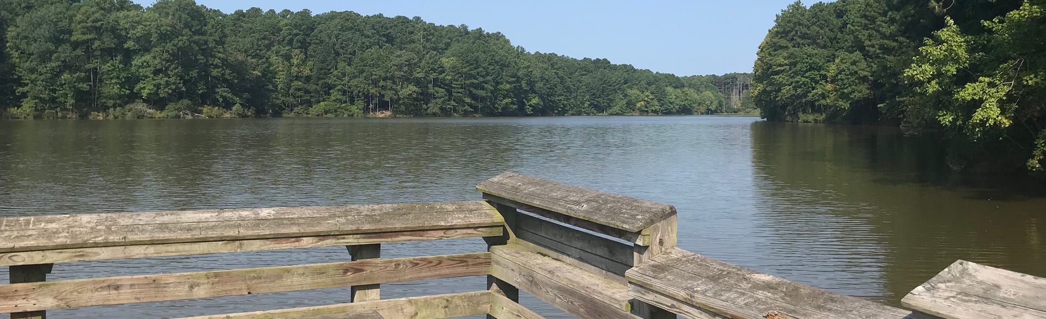 Lake Pine Loop, North Carolina 911 Reviews, Map AllTrails