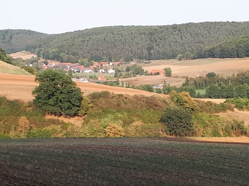 Bad Arolsen Wanderweg M10