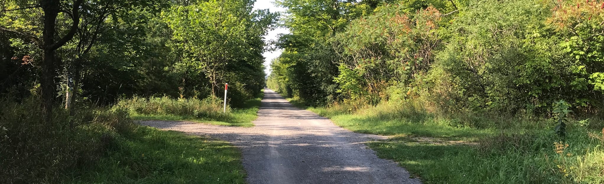 bridlewood-loop-128-reviews-map-ontario-canada-alltrails