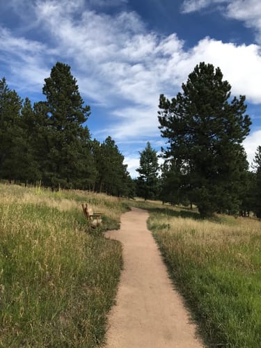 2023 Best Short Trails in Flying J Ranch Park | AllTrails