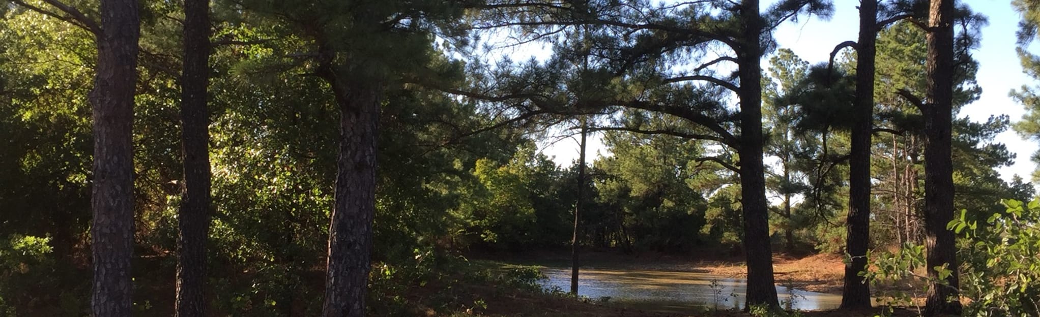 LBJ Grasslands Short Orange Trail via FarmtoMarket Rd, Texas 82