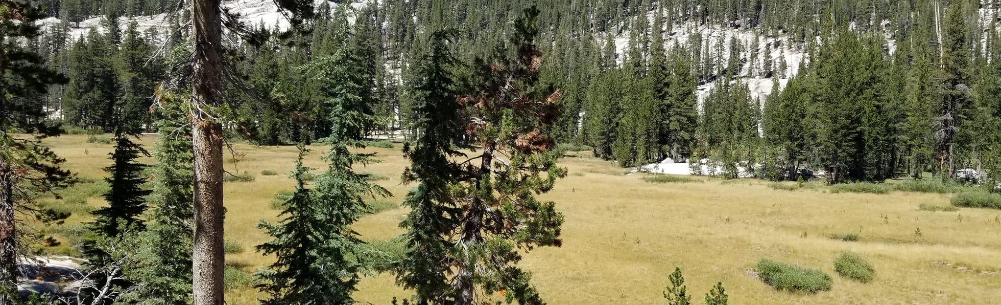 Goodale Pass to Silver Pass Loop, California - 30 Reviews, Map | AllTrails