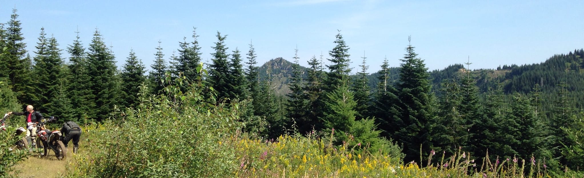 Walker Valley OHV Trail Loop , Washington 9 Reviews, Map AllTrails