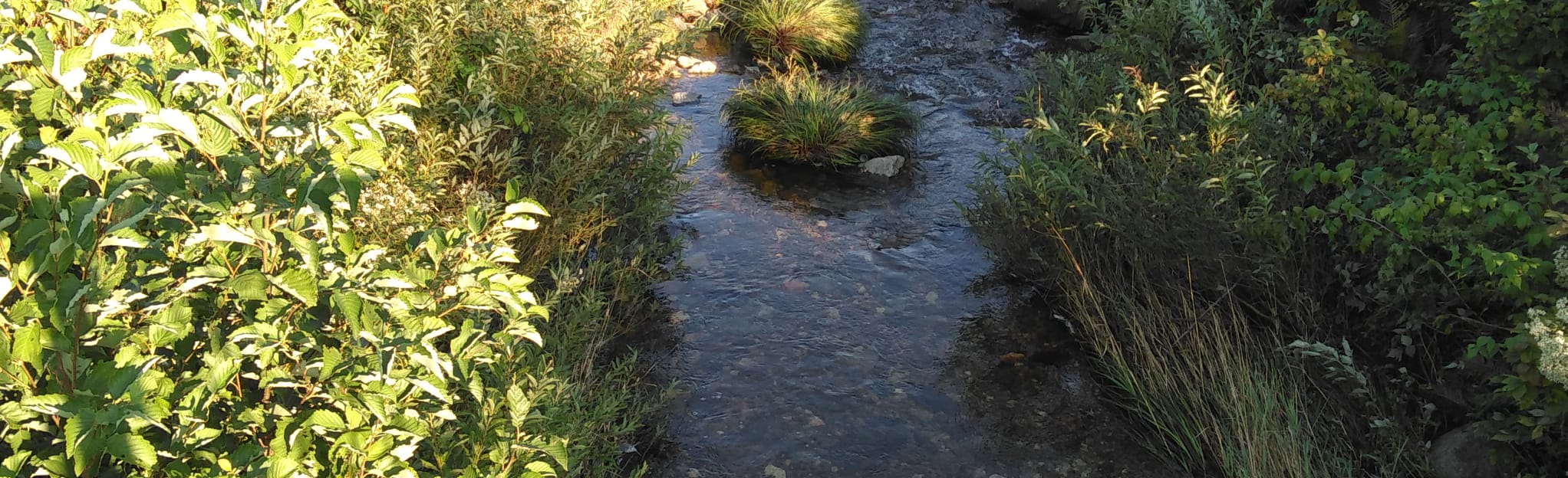 Black Lake to Thetford Mines Cycle Route, Quebec, Canada 16 Reviews