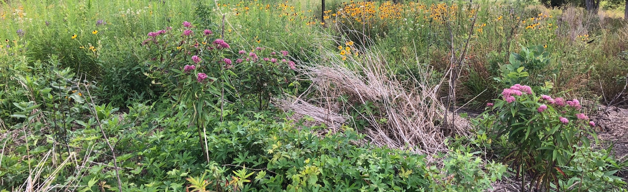 Grassy Lake Red Trail, Illinois 134 Reviews, Map AllTrails