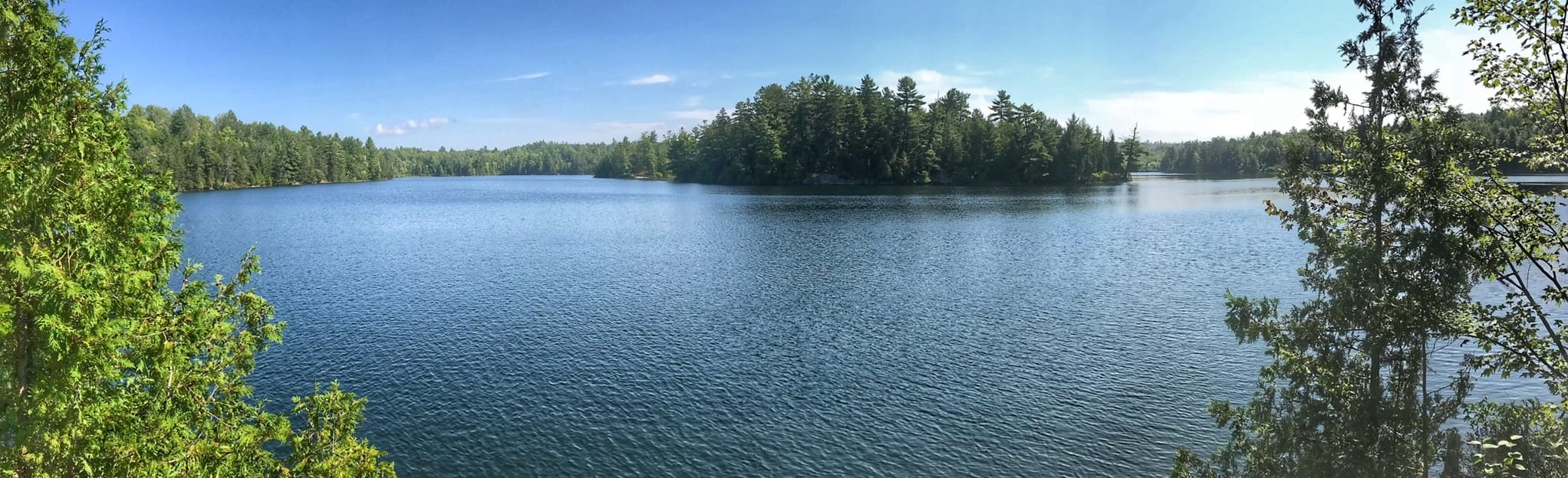 Hicks Lake Trail 23 foto Ontario, Canada AllTrails