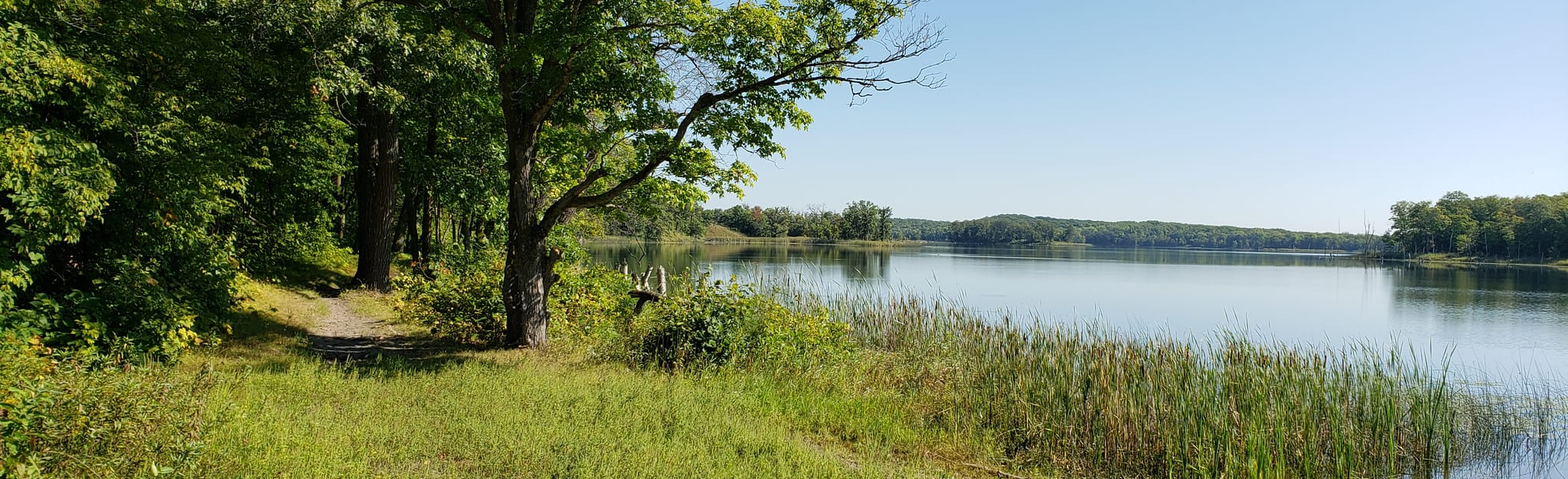 AllTrails Bass Lake Loop 89 Reviews, Map Minnesota