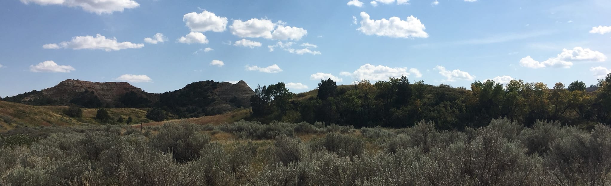 Painted Canyon Trail 433 Reviews, Map North Dakota AllTrails