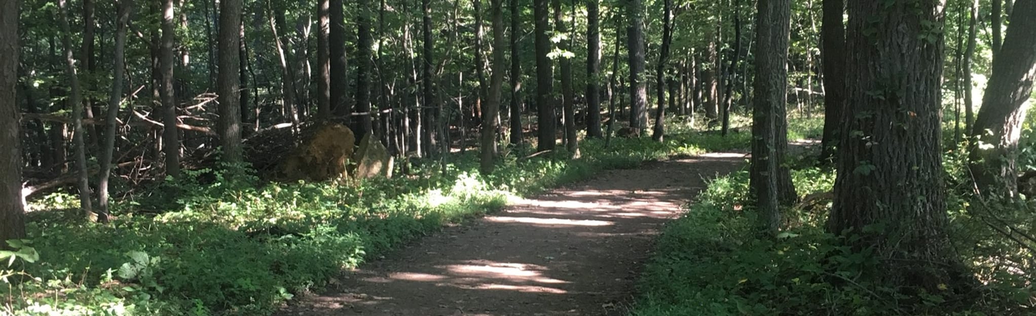 Appalachian Trail US 40 to Pogo - EyJidWNrZXQiOiJhc3NldHMuYWxsdHJhaWxzLmNvbSIsImtleSI6InVwbG9hZHMvcGhvdG8vaW1hZ2UvMjEyNzcxODIvNGE5NjZjNzgyMmU3YWIwN2YwMmMzNmU0MWI0MTA5ZDUuanBnIiwiZWRpdHMiOnsidG9Gb3JtYXQiOiJqcGVnIiwicmVzaXplIjp7IndpZHRoIjoyMDQ0LCJoZWlnaHQiOjYyNCwiZml0IjoiY292ZXIifSwicm90YXRlIjpudWxsLCJqcGVnIjp7InRyZWxsaXNRdWFudGlzYXRpb24iOnRydWUsIm92ZXJzaG9vdERlcmluZ2luZyI6dHJ1ZSwib3B0aW1pc2VTY2FucyI6dHJ1ZSwicXVhbnRpc2F0aW9uVGFibGUiOjN9fX0=