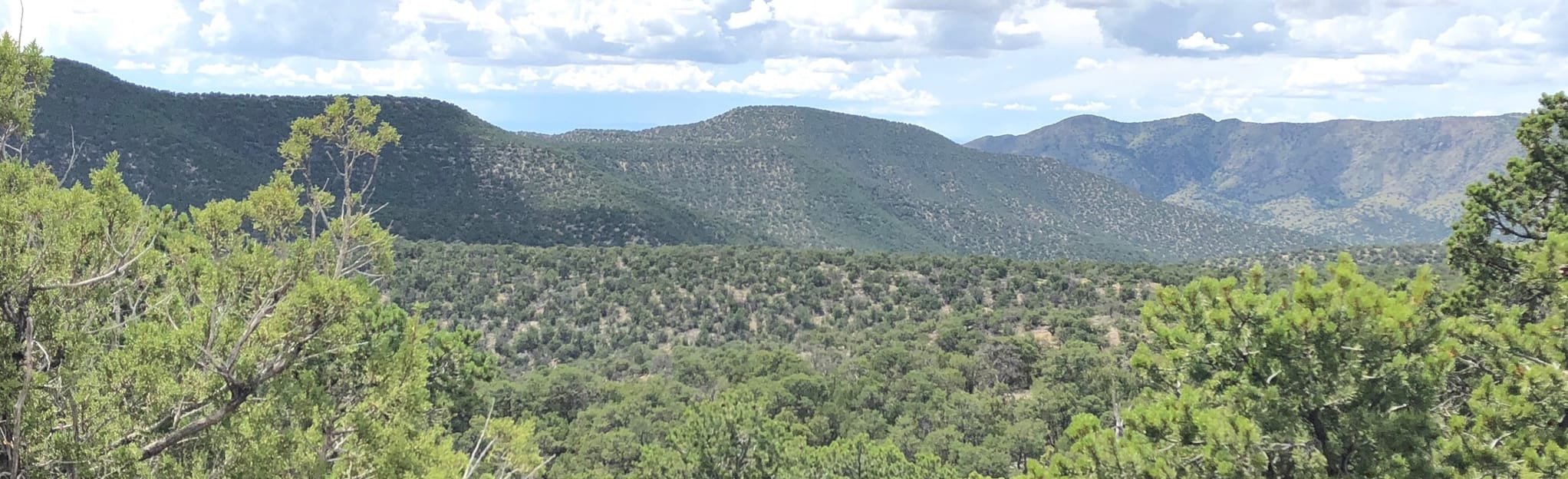West Ridge to Otero Canyon Trail, New Mexico 208 Reviews, Map AllTrails