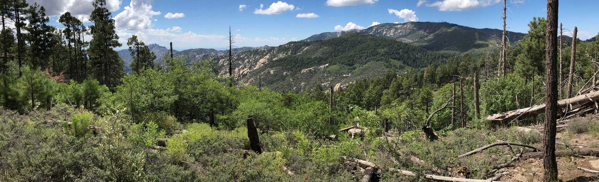 Box Spring via Box Camp Trail, Arizona 454 Reviews, Map AllTrails