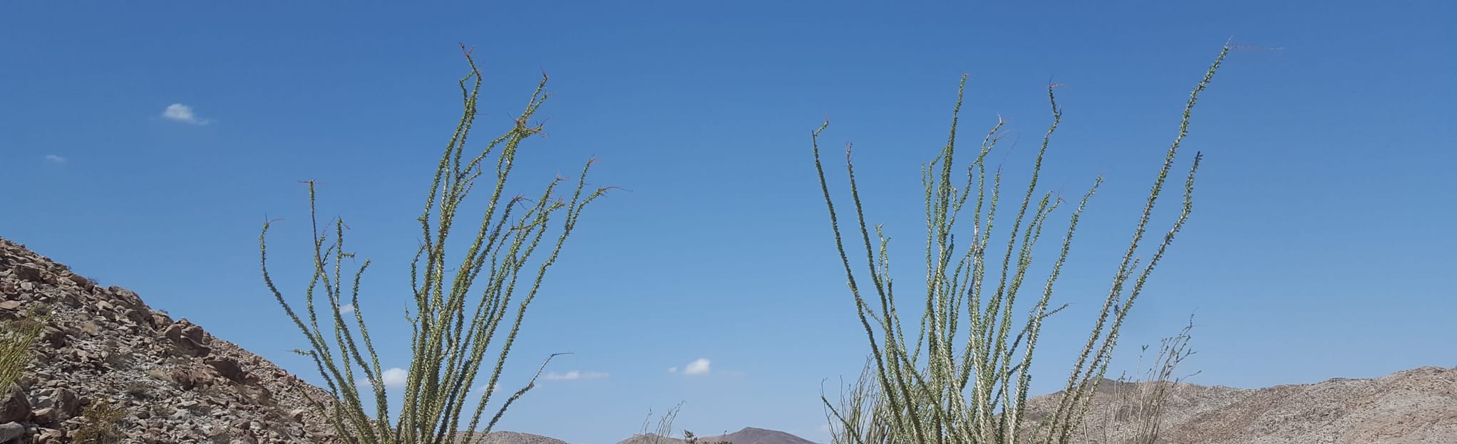 Dos Cabezas Road 20 Reviews, Map California AllTrails