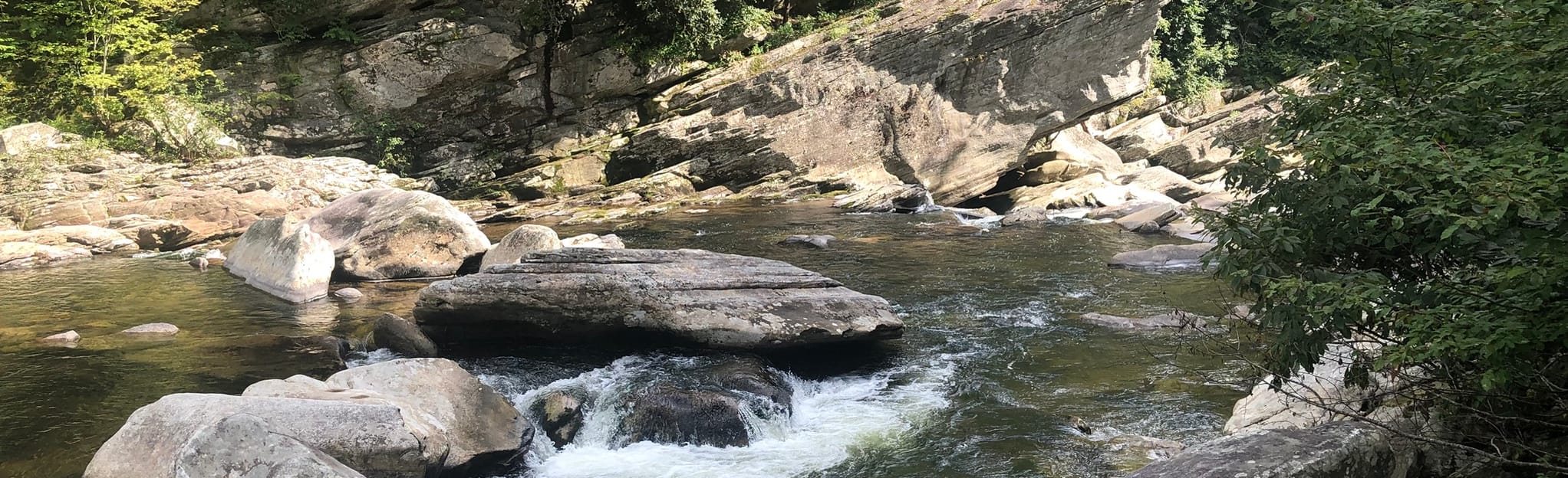 Spence Ridge and Linville River Trail Map, Guide North Carolina