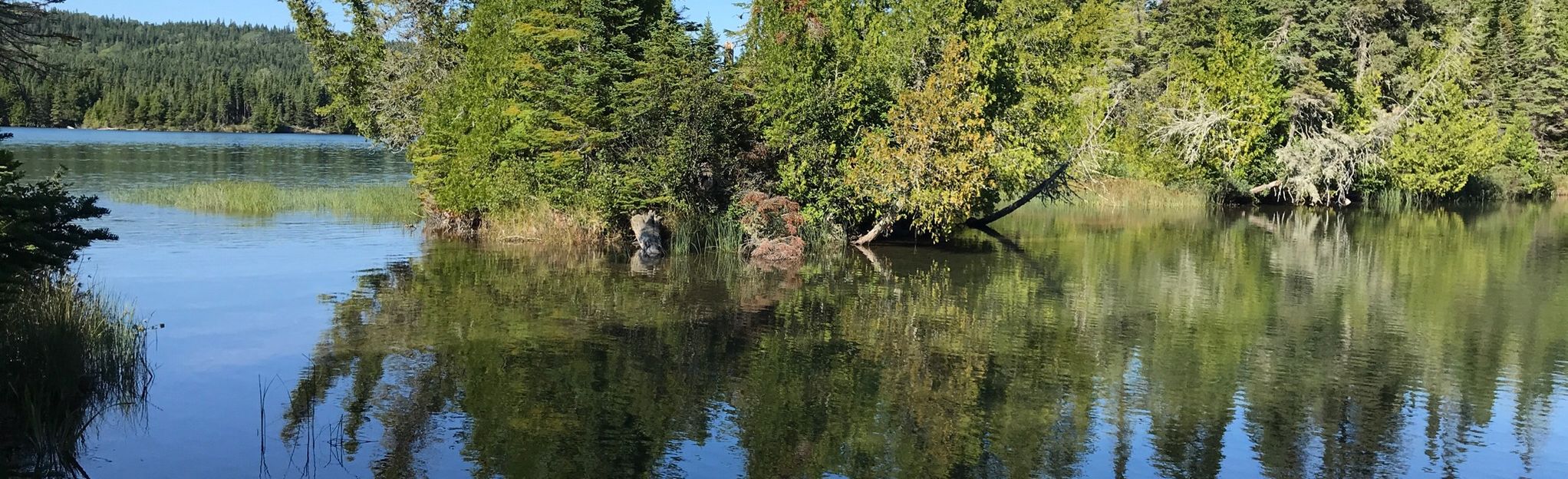 Scoville Point via Stoll Trail, Michigan - 275 Reviews, Map | AllTrails