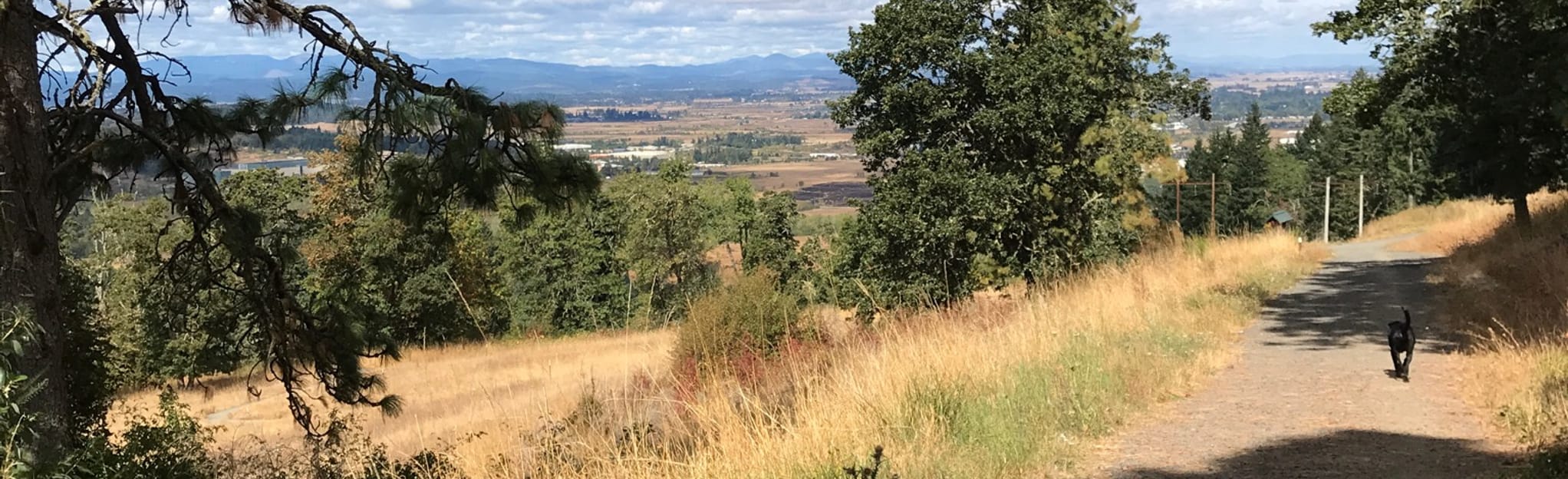 Wild Iris Ridge from Bailey Hill Road, Oregon - 720 Reviews, Map ...