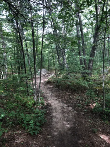 Best Hikes and Trails in Kennebunkport | AllTrails