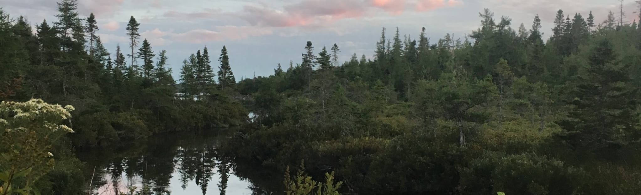 Hubley Big Lake Paddle, Nova Scotia, Canada 3 Reviews, Map AllTrails