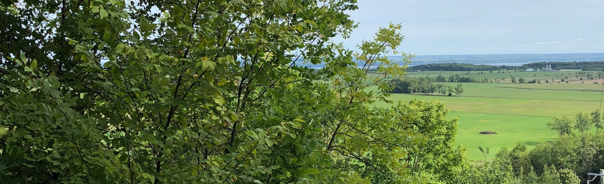 Kemble Mountain Short Loop, Ontario, Canada 56 Reviews, Map AllTrails