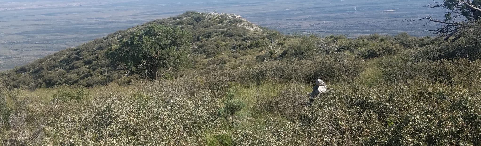 Yucca Canyon Trail 17 Reviews, Map New Mexico AllTrails