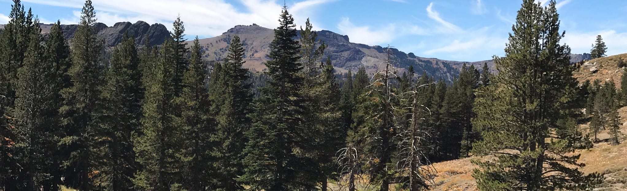 Showers Lake via the PCT, California 483 Reviews, Map AllTrails