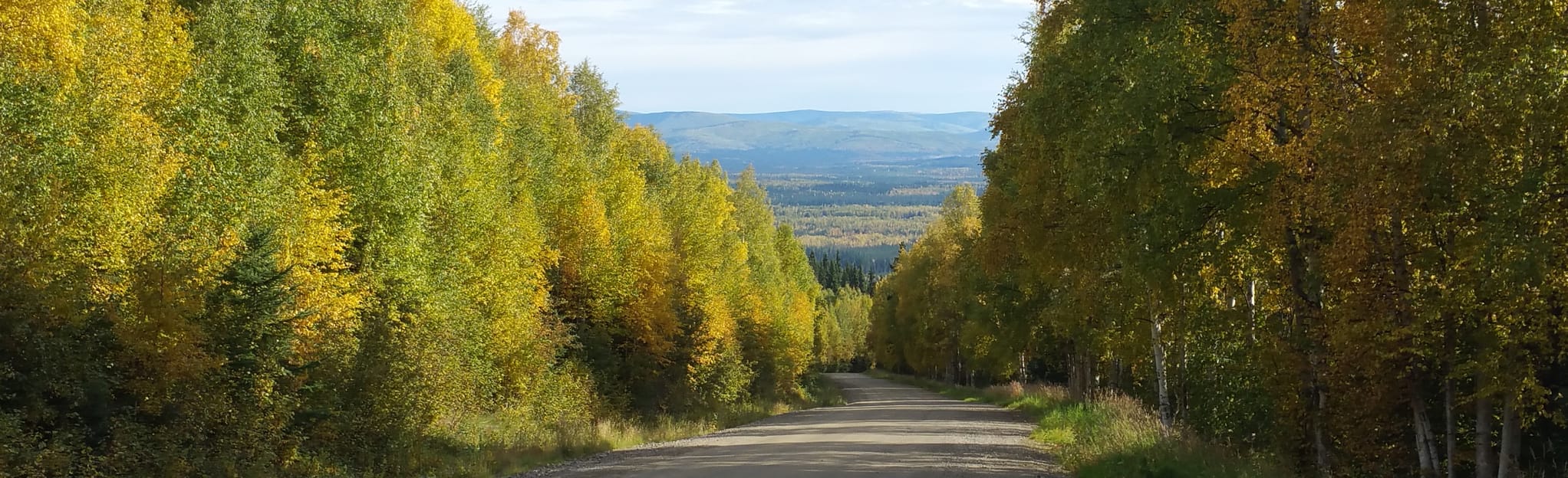 Ester Dome Outer Loop, Alaska 86 Reviews, Map AllTrails