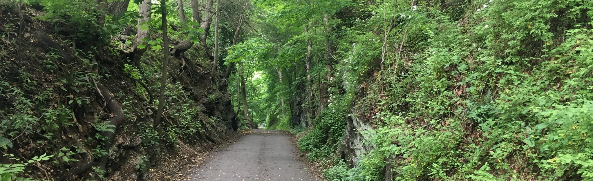 Sugar's Bridge Nature Trail 312 Reviews, Map Pennsylvania AllTrails