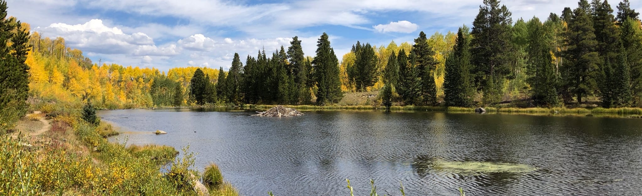 Colorado Trail Mount Elbert Trailhead to Twin Lakes 62 Reviews, Map