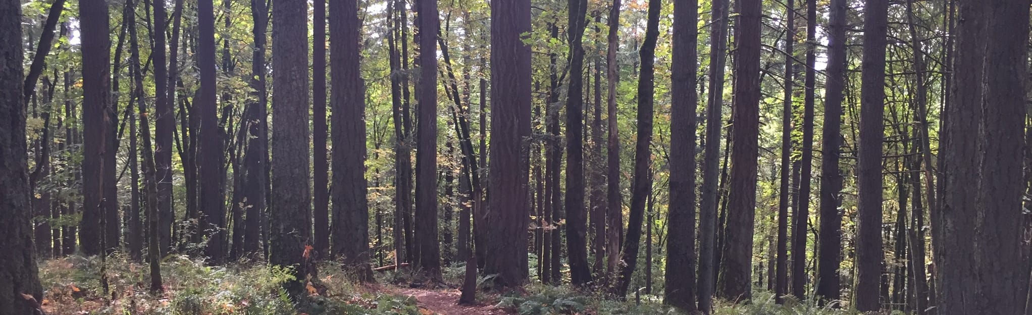 Mount Talbert via Park Loop and Summit Loop Trail: 514 Reviews, Map ...