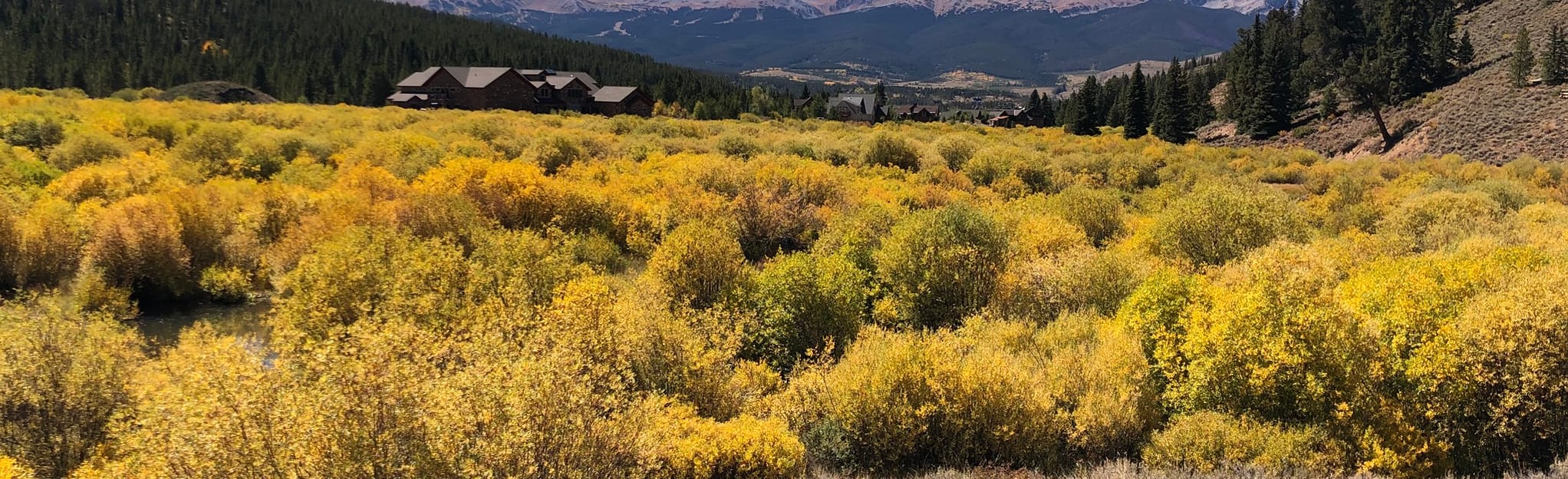 horseshoe-gulch-trail-colorado-140-reviews-map-alltrails