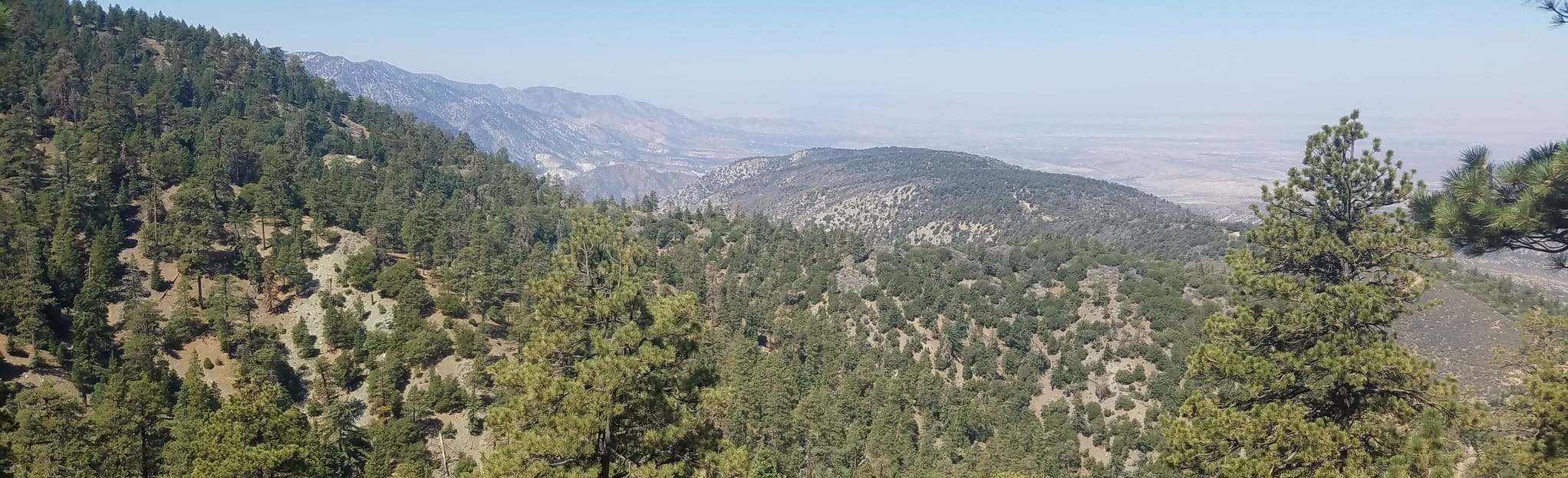 Jackson Lake to Jackson Flats Observation Tower via PCT 155 Reviews