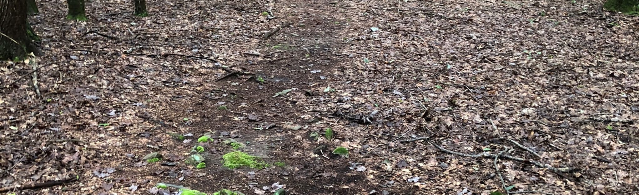 Cranberry Bog 47 Reviews, Map Pennsylvania AllTrails