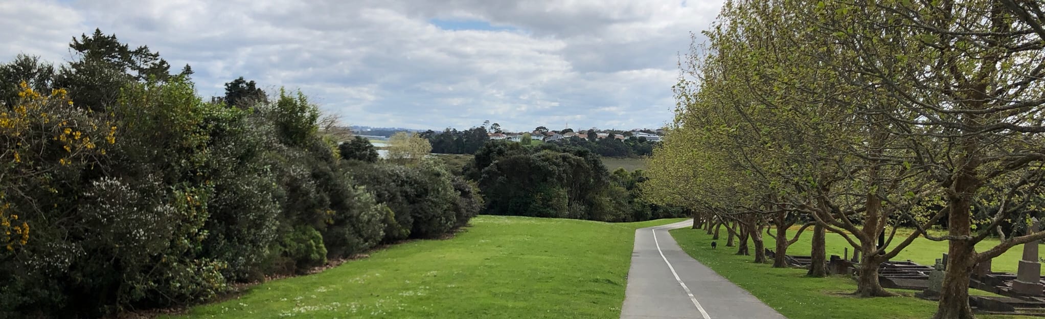 AllTrails Bayswater Bridge Loop 9 Reviews, Map Auckland, New Zealand