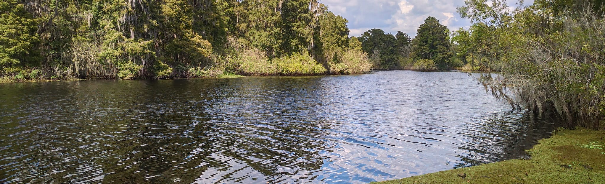 Lettuce Lake Park Hammock Trail, Florida 880 Reviews, Map AllTrails