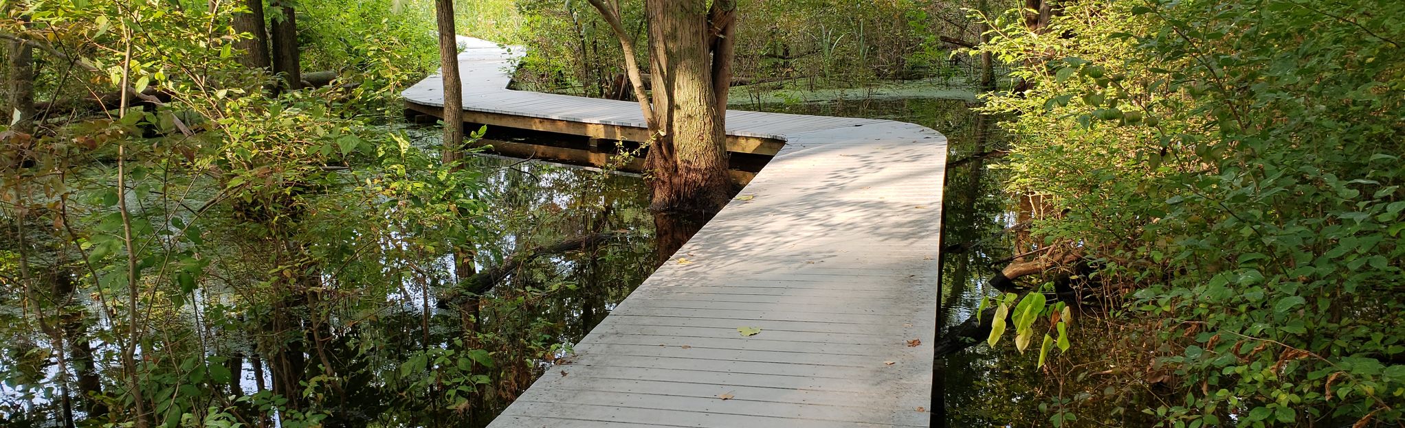 Escape to Tranquility: A Journey to Ohio's North Pond State Nature Preserve