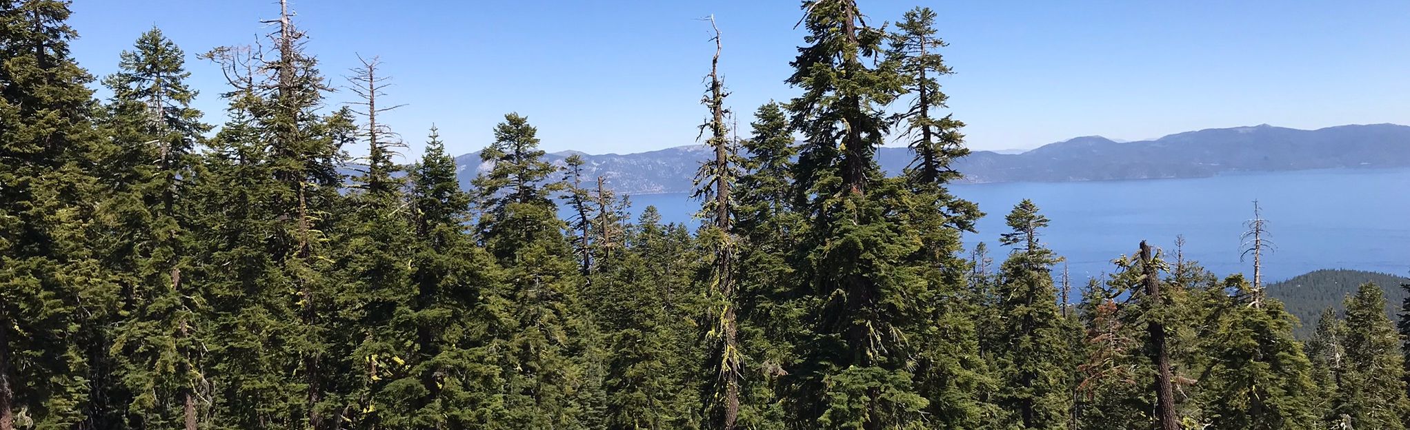 Brockway Summit to Mount Watson and Tahoe City, California 36 Reviews