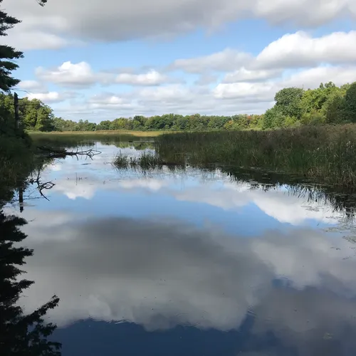 Best Hikes and Trails in Beaver Meadow Wildlife Management Area AllTrails