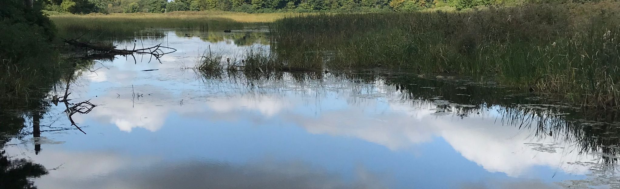 Beaver Meadow East Lookout Trail 23 Reviews, Map Ontario, Canada