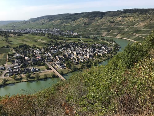 Moselsteig Etappe 12: Ürzig - Traben-Trarbach