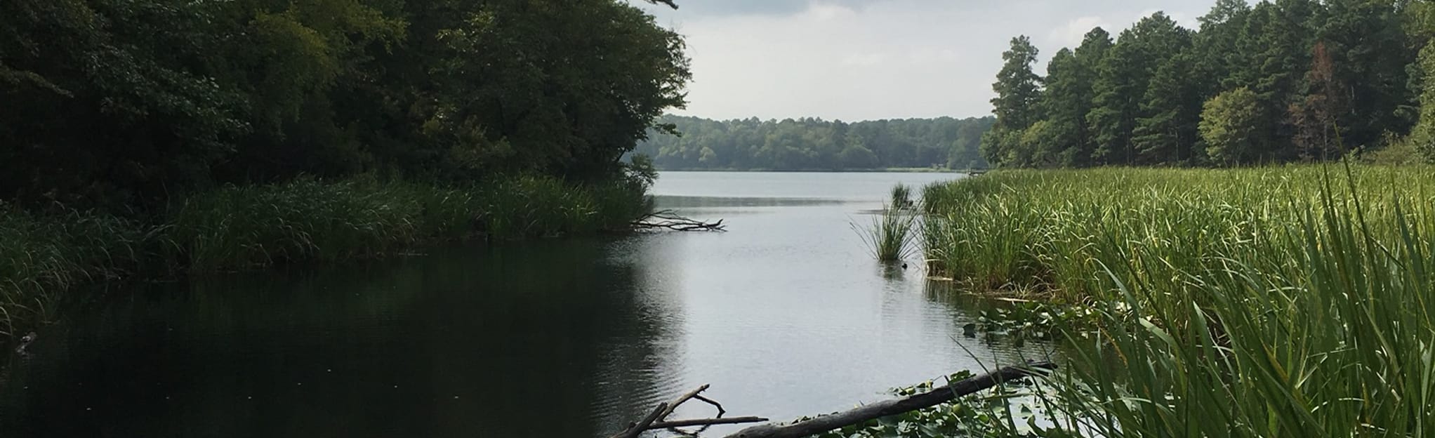 Tyler State Park Lakeshore Trail - EyJidWNrZXQiOiJhc3NldHMuYWxsdHJhaWxzLmNvbSIsImtleSI6InVwbG9hZHMvcGhvdG8vaW1hZ2UvMjEzOTAwMTIvMjI5ODVhN2ZlNDFmMDFhYmE5ZjNiNTg1ZWJjMmNhMzUuanBnIiwiZWRpdHMiOnsidG9Gb3JtYXQiOiJqcGVnIiwicmVzaXplIjp7IndpZHRoIjoyMDQ0LCJoZWlnaHQiOjYyNCwiZml0IjoiY292ZXIifSwicm90YXRlIjpudWxsLCJqcGVnIjp7InRyZWxsaXNRdWFudGlzYXRpb24iOnRydWUsIm92ZXJzaG9vdERlcmluZ2luZyI6dHJ1ZSwib3B0aW1pc2VTY2FucyI6dHJ1ZSwicXVhbnRpc2F0aW9uVGFibGUiOjN9fX0=