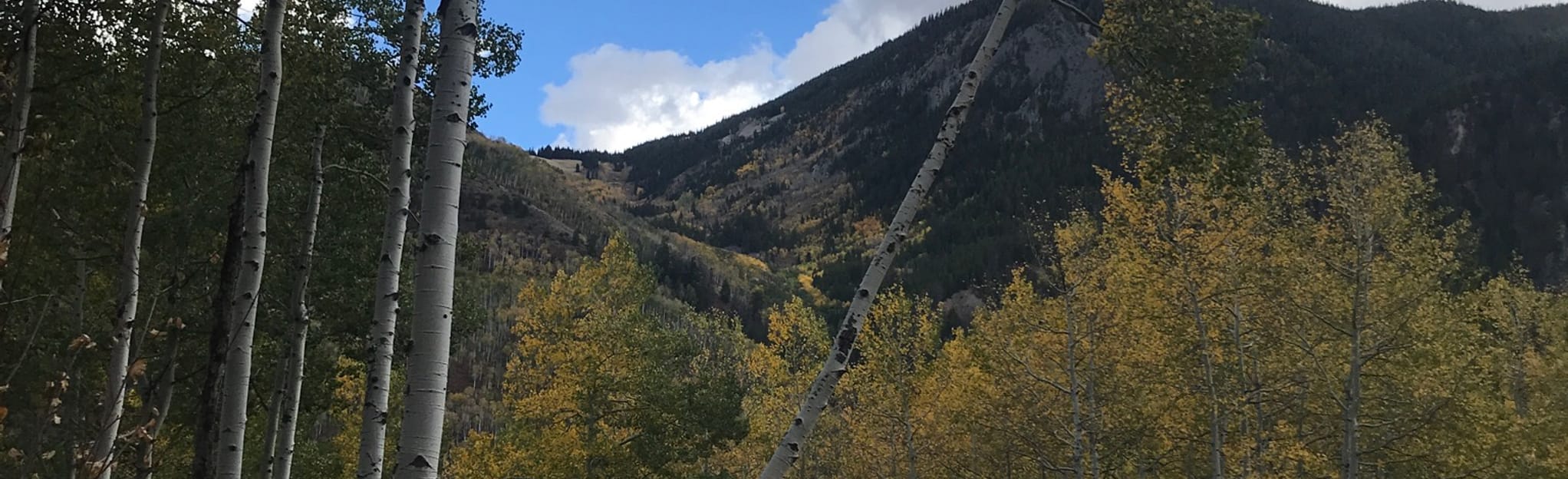 Holy Cross Wilderness Eagle Ranger District Wilderness Area Trail 34