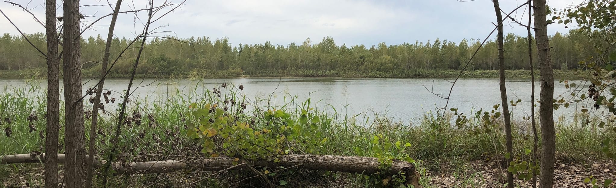 River's Edge Park Loop, Missouri 446 Reviews, Map AllTrails