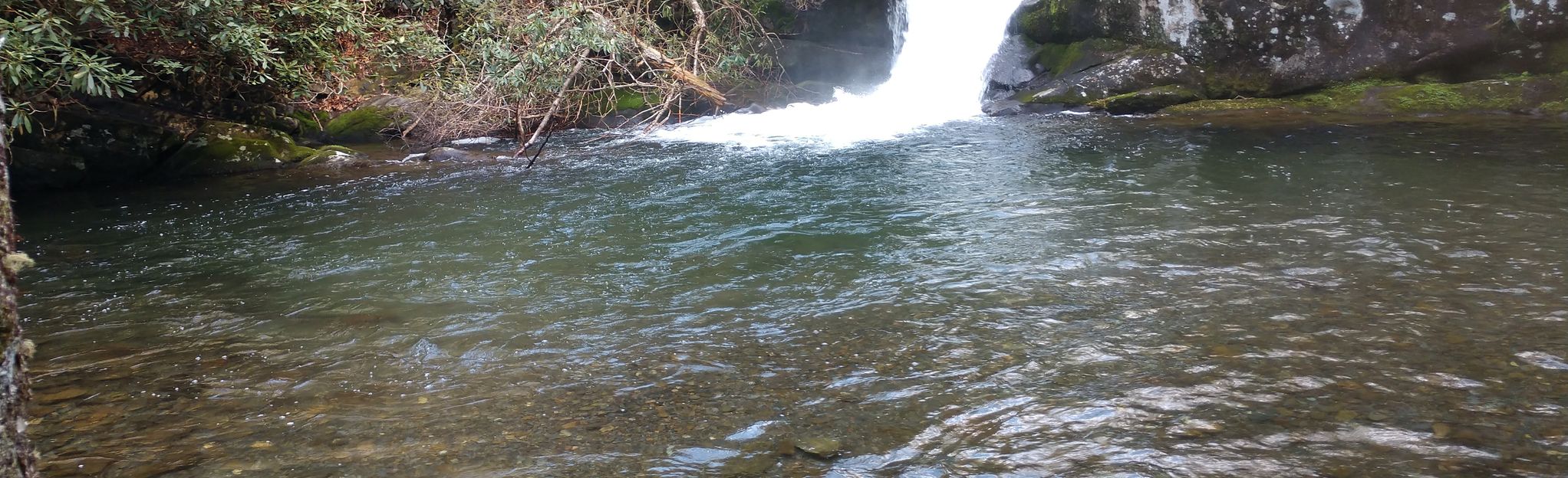 slickrock creek trail