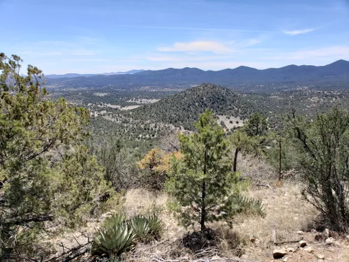 10 Best Hikes and Trails in Gila National Forest | AllTrails