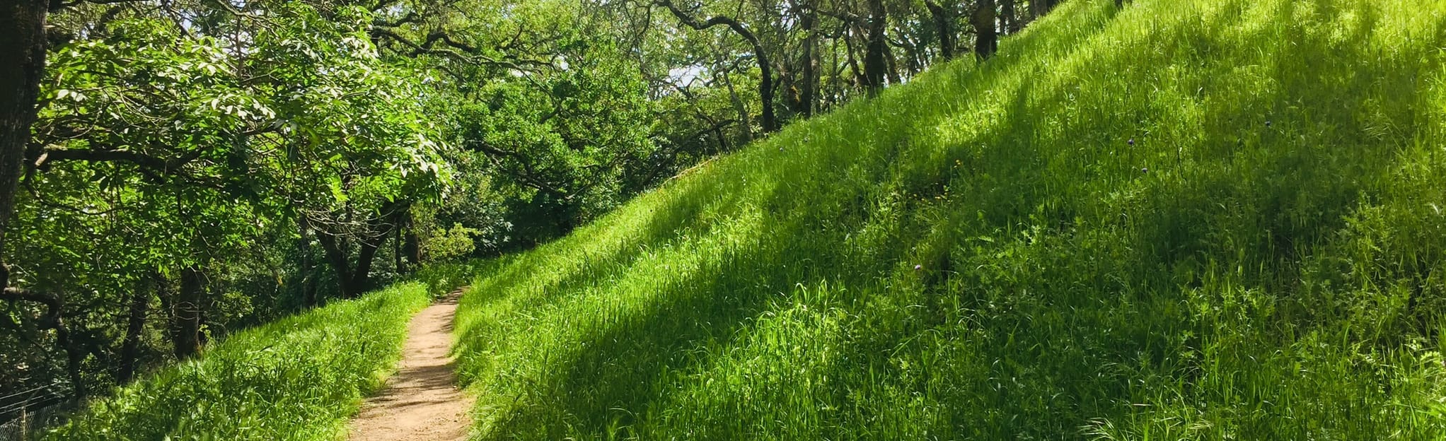 Upper and Lower Tilley Loop 282 Reviews, Map California AllTrails