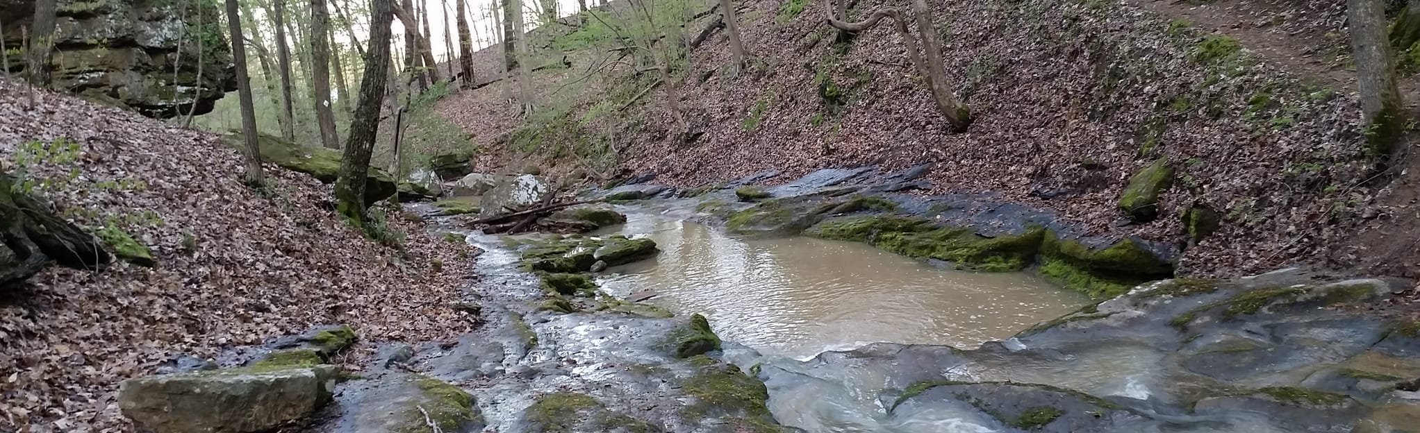 Buttermilk Hill Trail from Crisenberry Dam, Illinois 55 Reviews, Map
