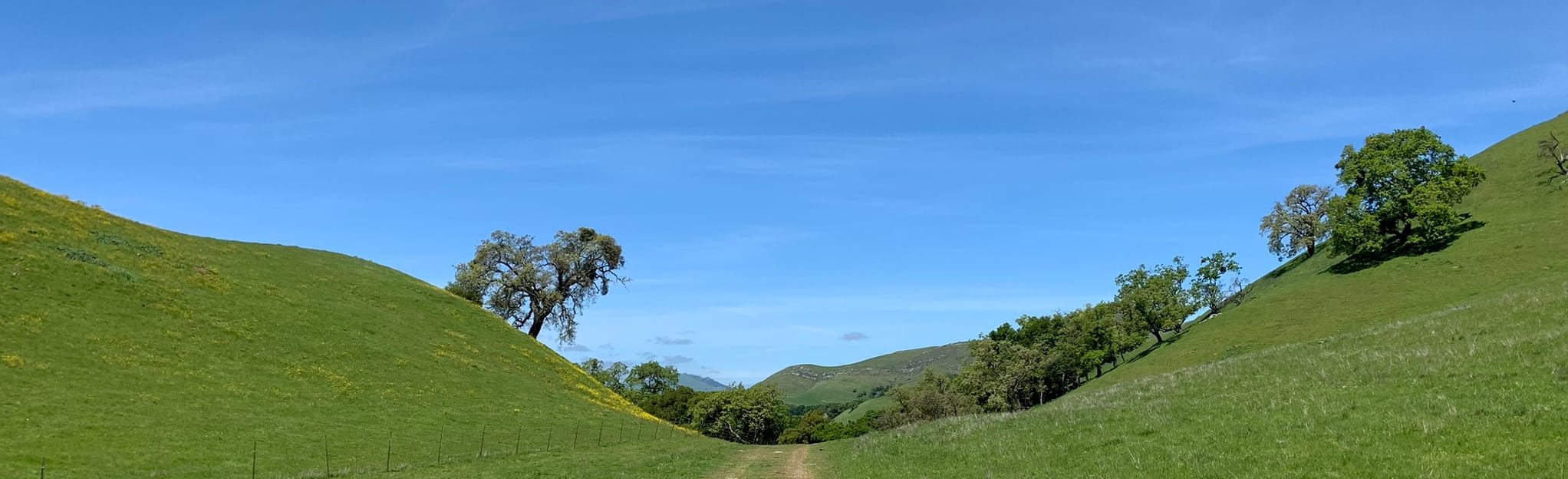 Vista Ridge to Eagle View and Welch Creek 29 Reviews, Map California