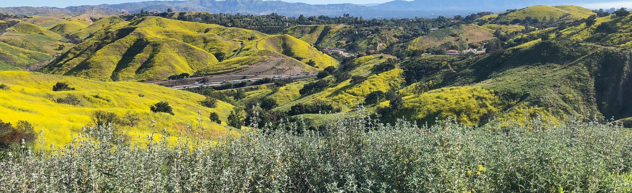 Anza Loop Trail to Calabash Canyon Loop Trail Map, Guide California